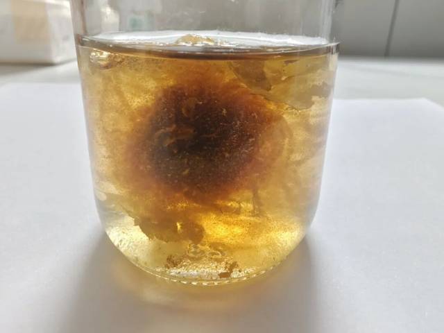 胖大海水试
