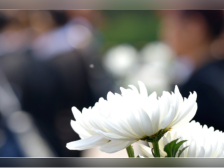 广州清明节祭扫这7天两大公墓周边交通管制！绕行方案公布