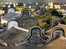 文博有看头｜深圳的季节，可以有多少个？