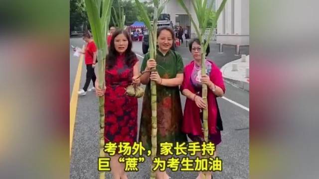 考场外，家长手持“巨”蔗为考生加油