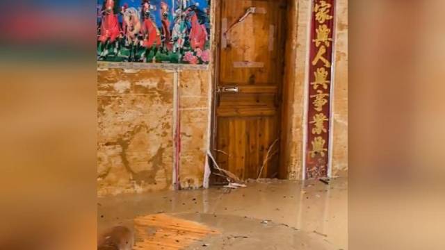 暴雨之下梅州村庄浸水实况，村屋内一片狼藉，三轮车几近浸没