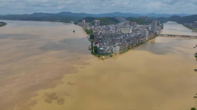 航拍肇庆西江洪峰过境，西江与贺江交汇呈现“泾渭分明”