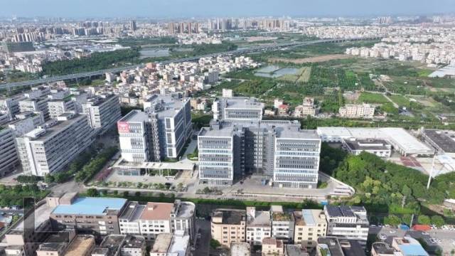 深中通道开通带来新机遇,有中山企业预计节约成本15%