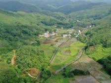 村集体收入两年增长近40倍！博罗小洞村的乡村振兴“生意经”