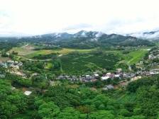 雨后石岗，看乡村如此多娇