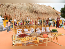 农业农村部：丰收节将开展优质农产品线上促销，发放消费券