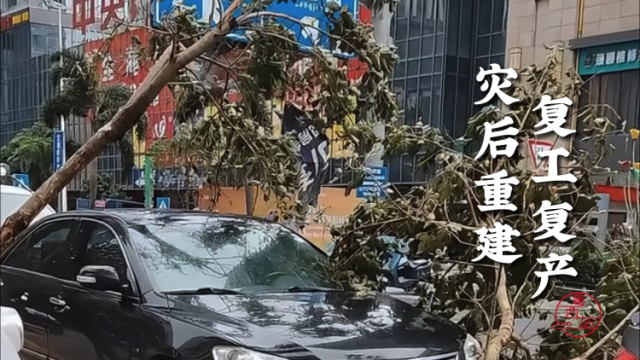 台风“摩羯”已过境，湛江各部门积极应对灾后重建、复工复产