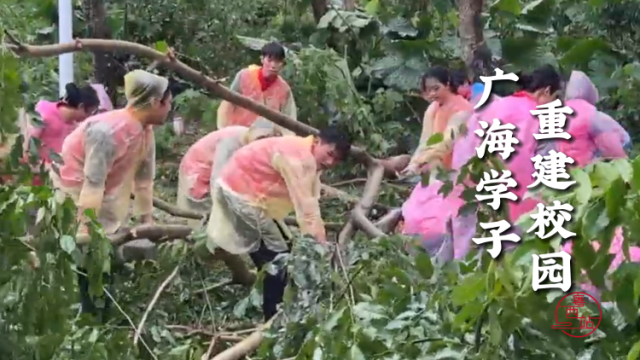 台风“摩羯”已过境，广海学子有序开展抢修工作，重建校园