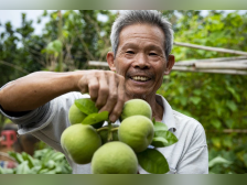 共享“丰”收惊喜！农民丰收节广东主会场活动将在化州举行