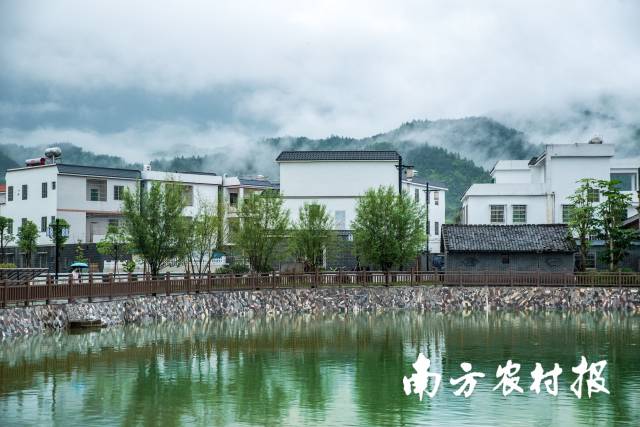 新丰县美丽乡村掠影。