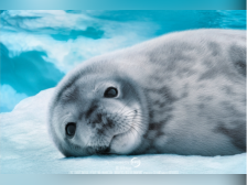 3部新片上映！广东科学中心国庆科普游受欢迎