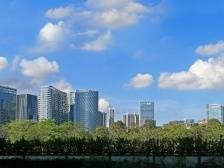 天光云影共徘徊