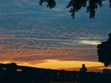 薛女士和张先生