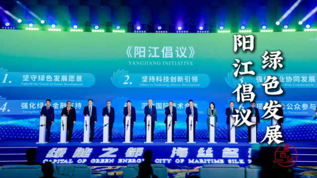 2024大湾区科学论坛绿能产业科技创新分论坛在阳江举办