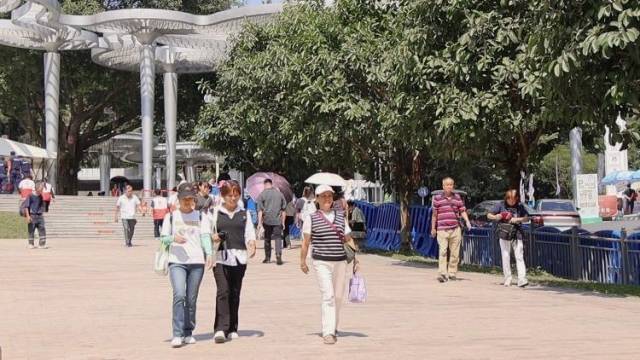 广东人有多爱爬山？看老广大秀登高热情，“转运”不止在重阳