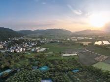 惠阳凤咀村：从“种得好”到“卖得好”“玩得好”