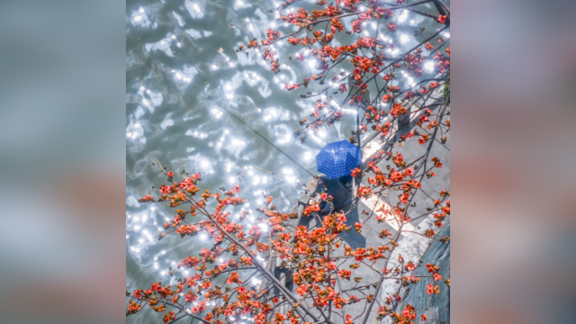 航拍红火英雄之花，打卡广州最美地标