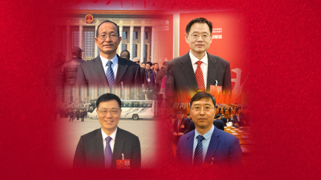 连线代表委员“问答中国式现代化”:参与的项目惠及非洲人民