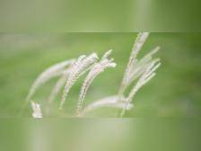 春日读书~ 师道读写联盟第五期报名啦！