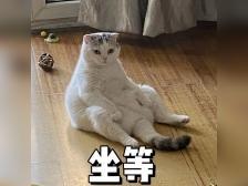 广州新增一所高校!建在这里→