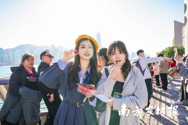 香港市民和国际友人品尝界炮圣女果并为其点赞。