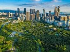 博伦医药集团致敬深圳特区45周年