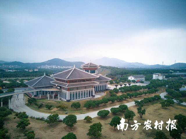 中国荔枝博览馆成为了解荔枝文化的一个窗口。（黄坚文 摄）