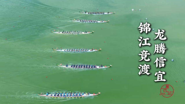 26支龙舟锦江竞渡，信宜龙舟锦标赛在含章桥下燃情挥桨