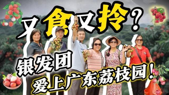 一天挤进上千人！“荔枝团”爆满，东方爱情果掀银发文旅热潮