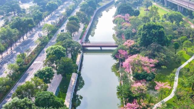 实施十大行动，中山推动城乡形态再升级