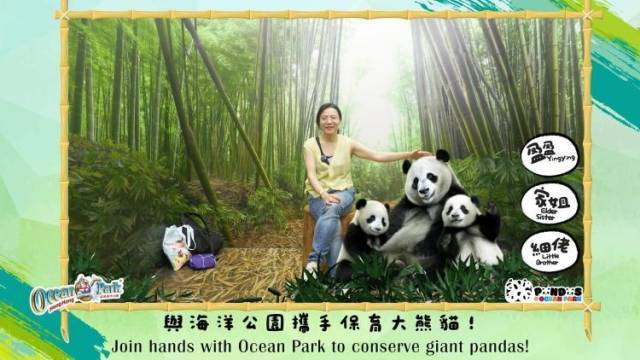 香港亲子游推荐,蜡笔小新、熊猫、西沙Go Park等着你