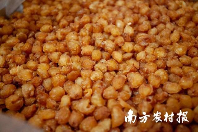 桂圆肉。脾经,养血安神的成果,