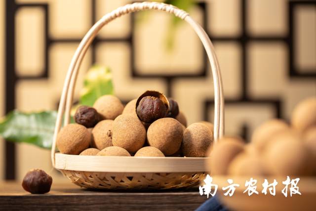 桂圆干 南方农村报 吴秒衡 摄