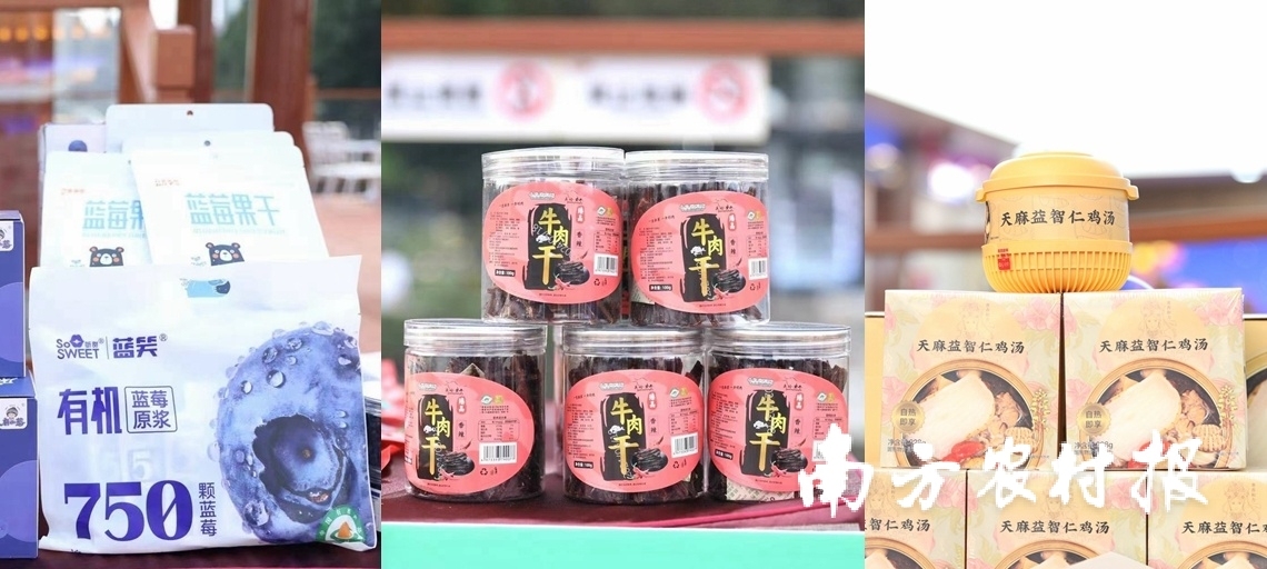 贵州黄牛、海举上海保险交易所、赴沪银联国际、推介推介谈为办好本次活动，贵州贵州省农业发展集团、农业<strong>车电路故障</strong>