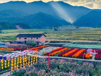 如何写好现代乡村产业优“粤”答卷？广东这场专题会议将集智破题