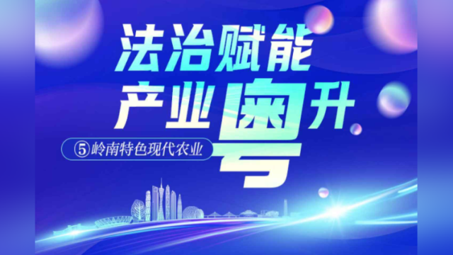 长图|共绘广东现代农业新图景,院士专家纷纷建言