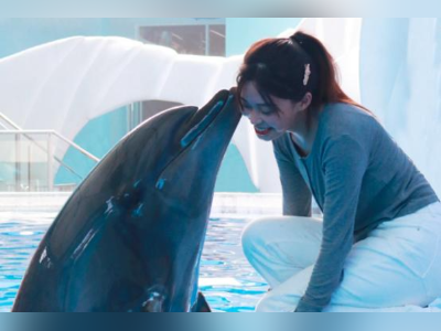 七夕有礼!广州海洋馆特惠开学季,延续暑期旅游热潮