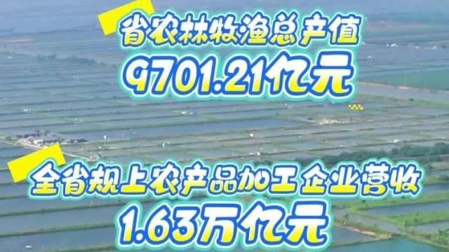 广东“金字招牌”！科技赋能岭南特色现代农业高质量发展