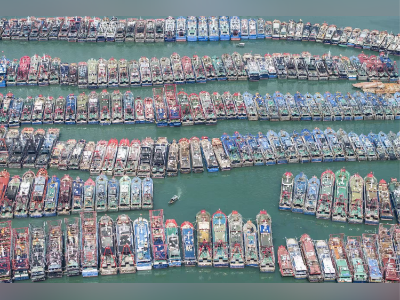 防御“桦加沙”,广东阳江闸坡渔港800艘“连环船”等风来