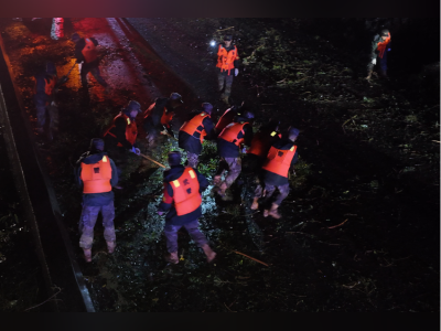 直击“桦加沙”过境阳江抢险救灾现场:武警使用油锯切割树木