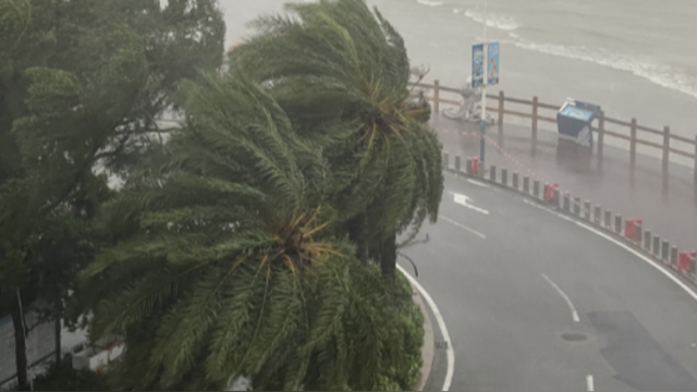 台风“桦加沙”登陆广东阳江，海边风雨超大，危险仍未解除