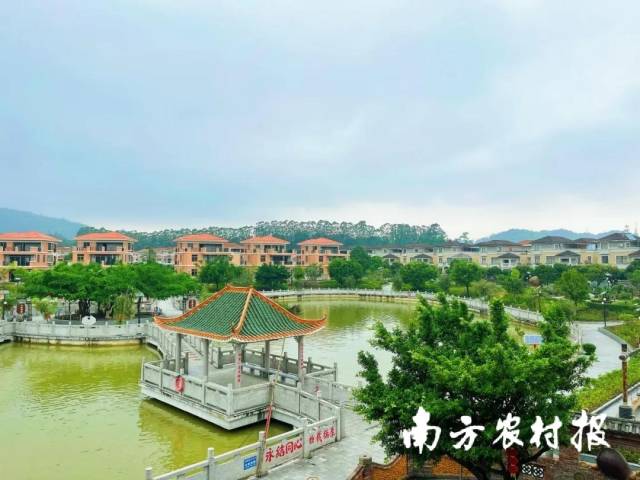 破立并举，走活江门农村集体经济一盘棋