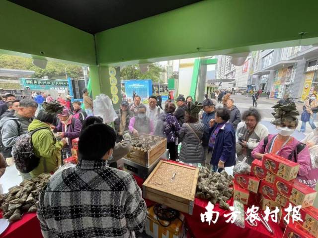 企业展位人头攒动，不少市民游客都被香味吸引。