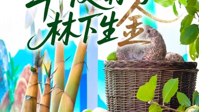 绿美广东 林果飘香