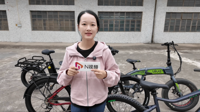 “同甘”又“回甘”！从一辆大湾区“混血”自行车看产业互补