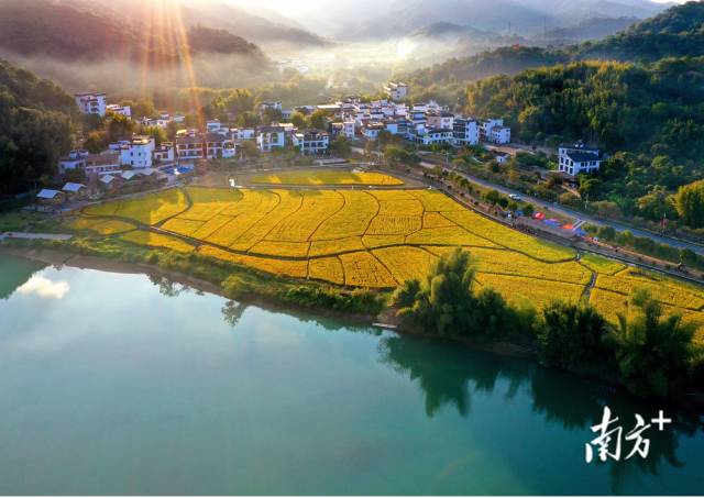 廣州從化，夕陽漫灑的小山村格外美麗迷人。南方+拍客 謝深本 攝