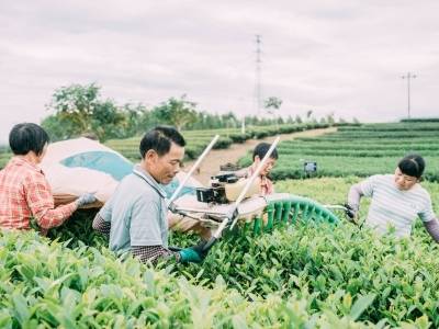 全省近4万名政协委员助力“百千万工程”建设