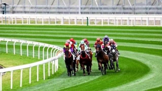 今年10月香港赛马会从化马场将正式开启速度赛马活动