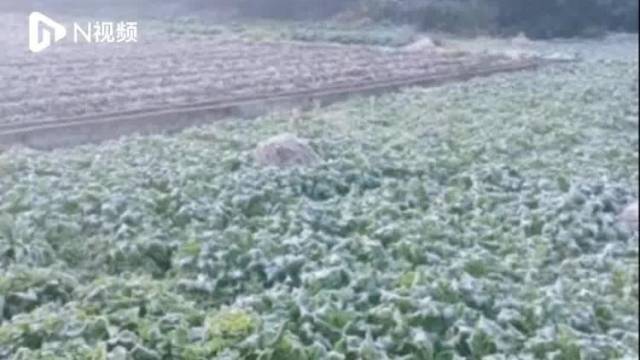 霜冻+雾凇!韶关冷出冬日限定皮肤,但“解冻”升温已安排