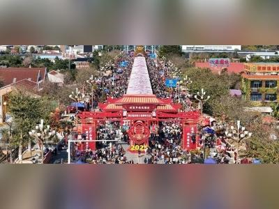 把“年味”拉满?陈村花市亮点抢先看